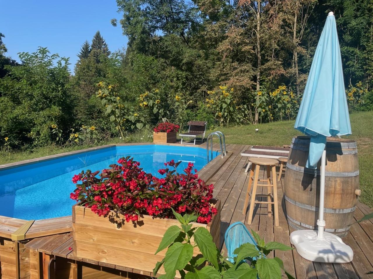 Cozy Nature House Villa Colico Bagian luar foto