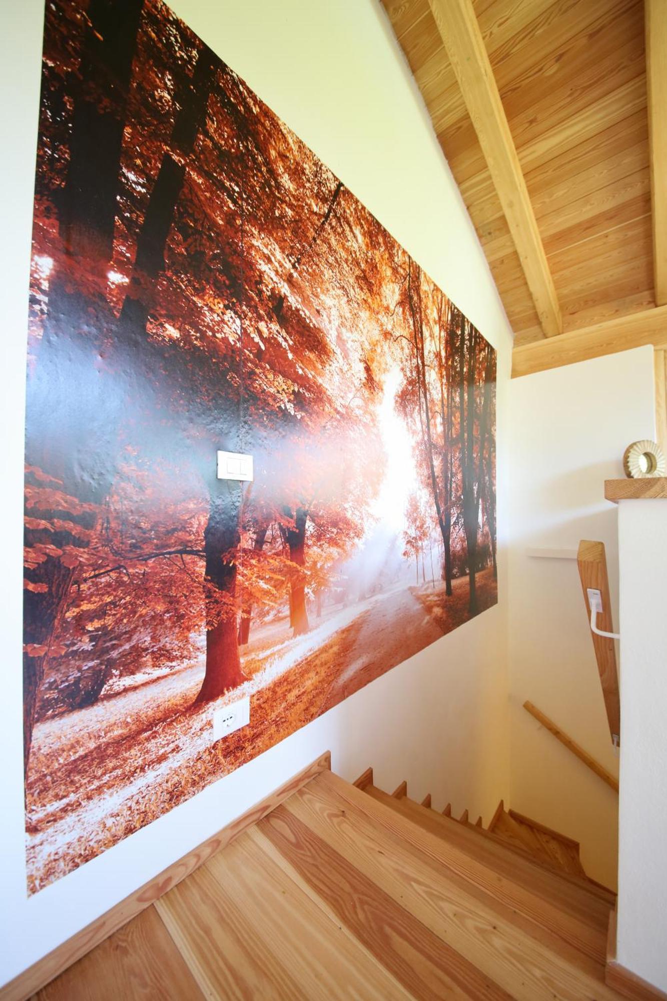 Cozy Nature House Villa Colico Bagian luar foto